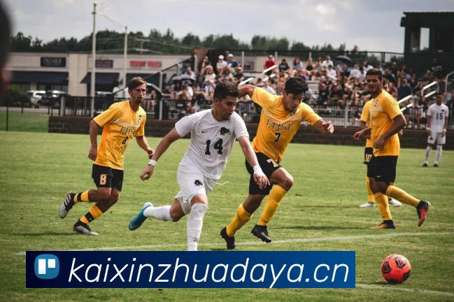 爱游戏·ayx(中国)官方网站平台生态图